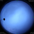 1569455250.jpg