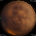 1569711232.jpg
