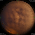 1569711502.jpg