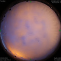 1569712672.jpg