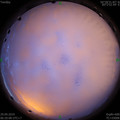 1569712852.jpg