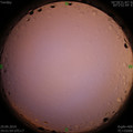 1569761536.jpg