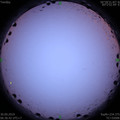 1569800239.jpg