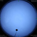 1574387955.jpg