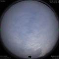 1574403458.jpg