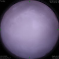 1575944387.jpg