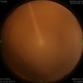 1577146365.jpg