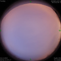 1577324786.jpg