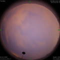 1577875964.jpg