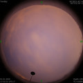 1577876024.jpg