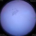1577931311.jpg