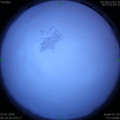 1577931866.jpg
