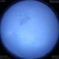 1577932361.jpg