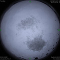 1577950010.jpg