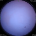 1578017662.jpg