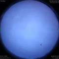 1578018593.jpg
