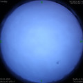 1578018713.jpg