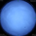 1578019208.jpg