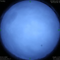 1578019464.jpg