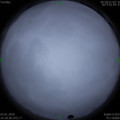 1578035926.jpg