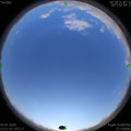 1578118916.jpg