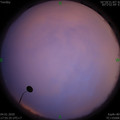 1578135349.jpg