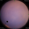 1578135469.jpg