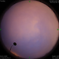 1578135529.jpg