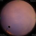 1578135649.jpg