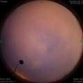 1578135709.jpg