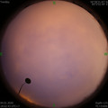 1578135769.jpg