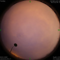 1578135829.jpg