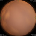 1578188385.jpg