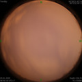 1578188445.jpg