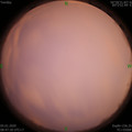 1578188865.jpg