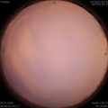 1578188925.jpg