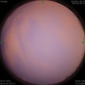1578189240.jpg