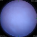 1578190576.jpg