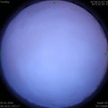 1578190696.jpg