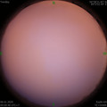 1578276057.jpg
