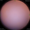 1578276117.jpg