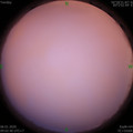 1578276177.jpg