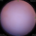 1578276357.jpg