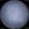 1578294051.jpg