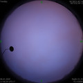 1578307617.jpg