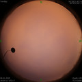 1578308653.jpg