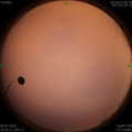 1578308713.jpg