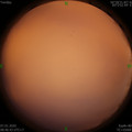 1578361613.jpg