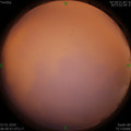 1578361733.jpg