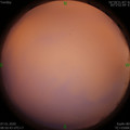 1578361854.jpg